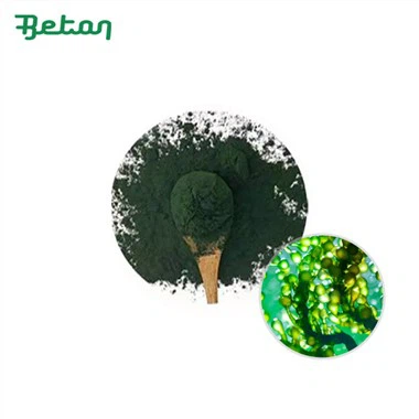 آیا محصولات دریایی ارگانیک از توسعه جوامع ساحلی حمایت می کند؟