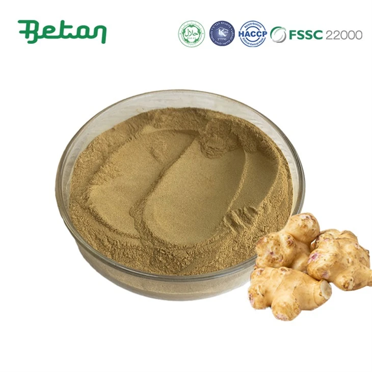 پودر کنگر فرنگی اورشلیم