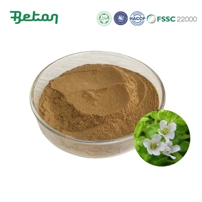 عصاره Bacopa Monnieri 20٪